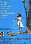 A Patch of Blue Poster